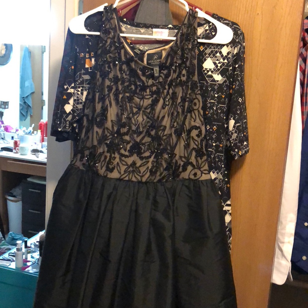 Beautiful Adrianna Papell cocktail dress